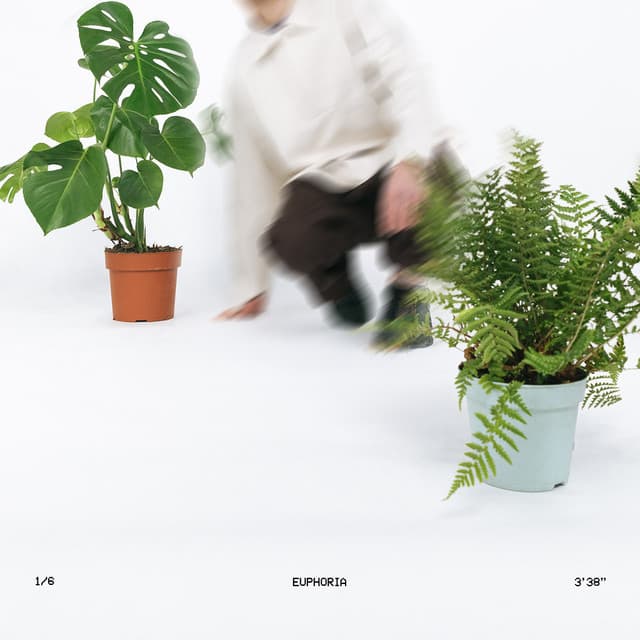 Euphoria album cover
