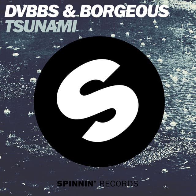Tsunami (Radio Edit) album cover